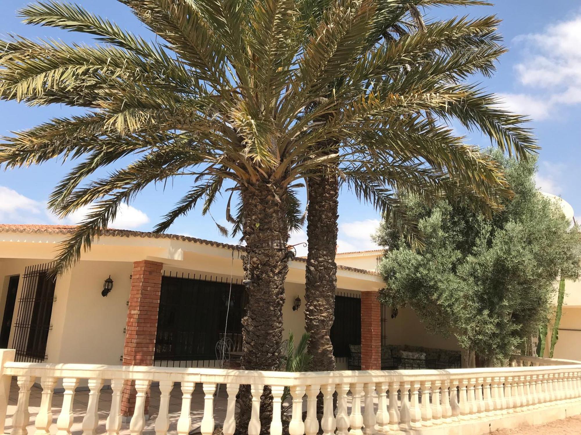 Tiguimi Vacances - Oasis Villas, Cadre Naturel Et Vue Montagne Agadir Luaran gambar
