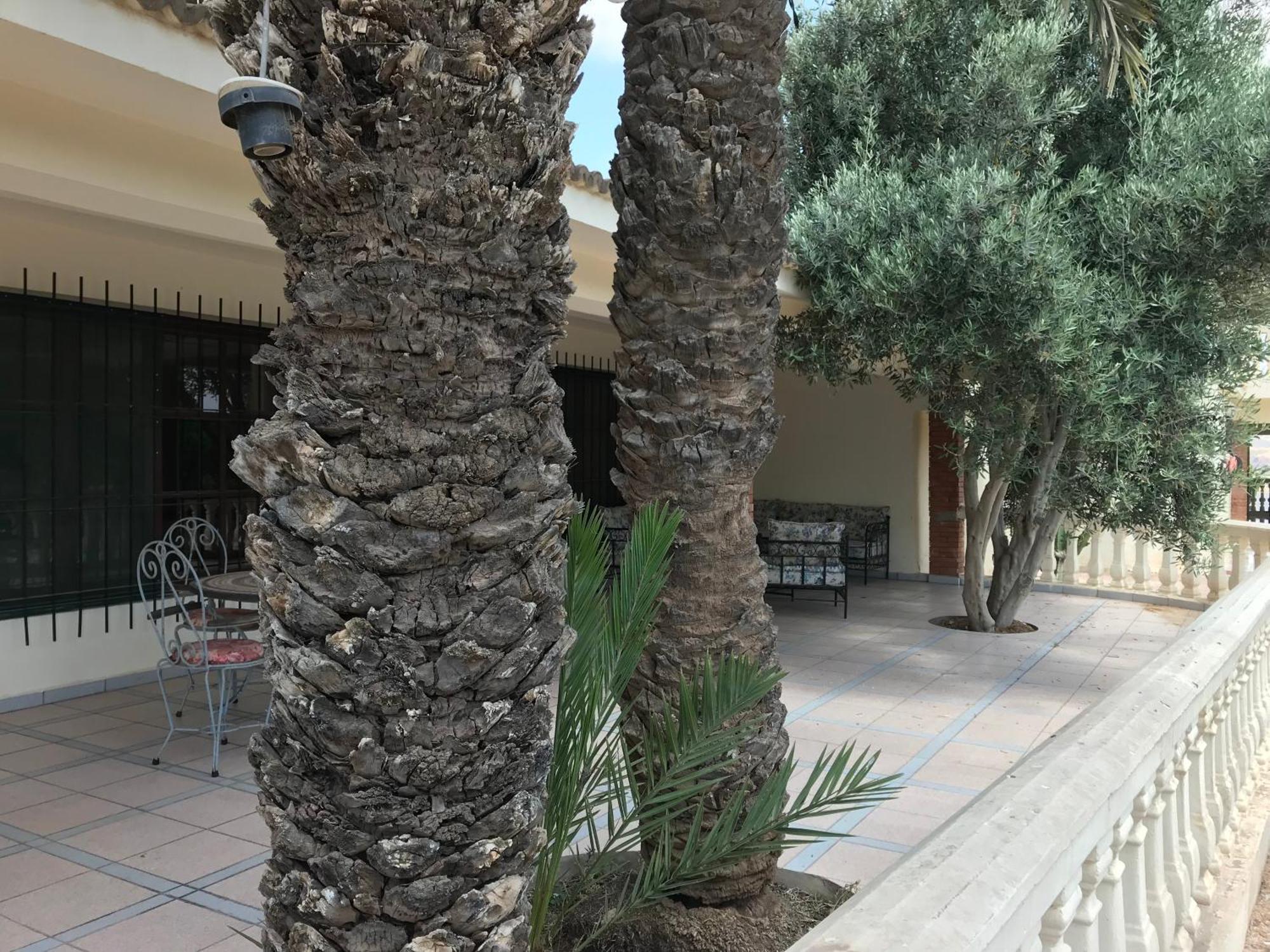 Tiguimi Vacances - Oasis Villas, Cadre Naturel Et Vue Montagne Agadir Luaran gambar